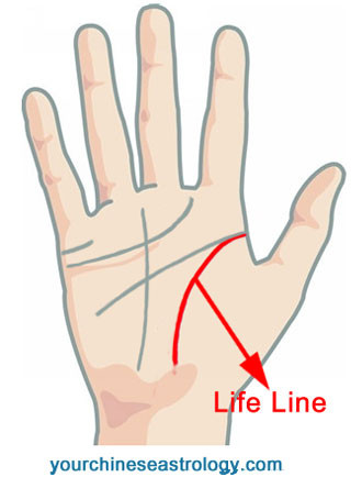 Palm Reading - Life Line