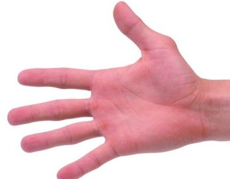 Ring of Solomon Palmistry, Ring of Jupiter Palm Reading