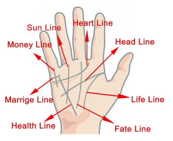 Image result for hand reading