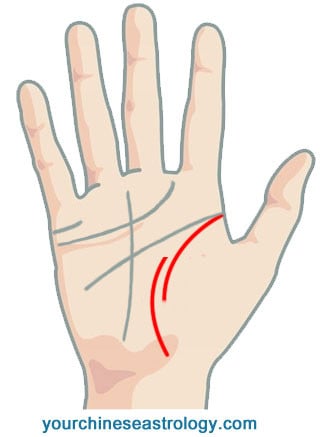 Life Line Palm Reading Guide – Chinese Palmistry Life Line Palm Reading Guide – Chinese Palmistry