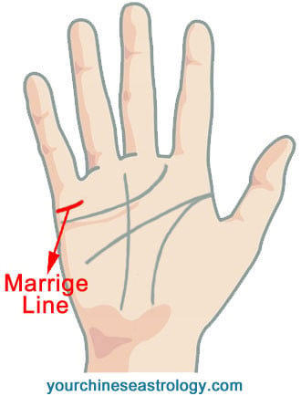 Palm Reading – Chinese Palmistry Guide 