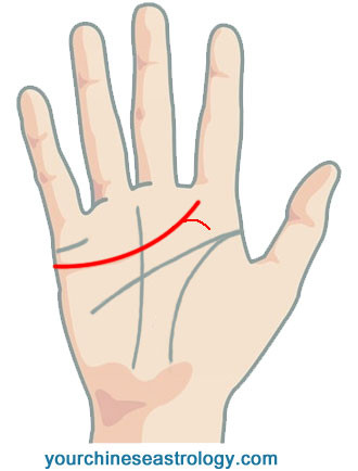 Palm Reading Heart Line, Love Line - Chinese Palmistry