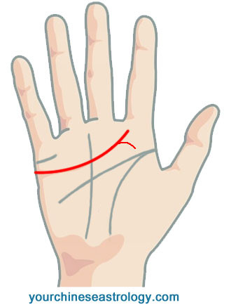 Palm Reading Heart Line, Love Line - Chinese Palmistry Palm Reading Heart Line, Love Line - Chinese Palmistry