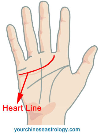 Palm Reading Heart Line, Love Line - Chinese Palmistry