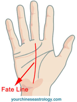 Fate Line, Career Line, Job Line Palmistry - Chinese Palm Reading