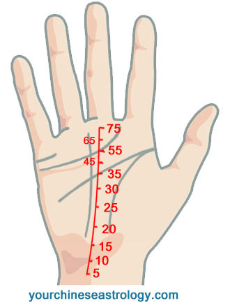 Fate Line, Career Line, Job Line Palmistry - Chinese Palm Reading