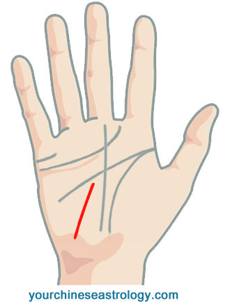 Sun Line, Apollo Line Palm Reading – Chinese Palmistry