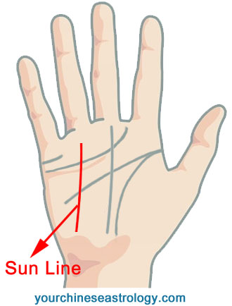 Sun Line, Apollo Line Palm Reading – Chinese Palmistry