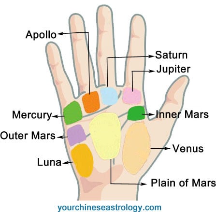 10 Reasons Why Palmistry Mounts Is Common In USA. | palmistry mounts