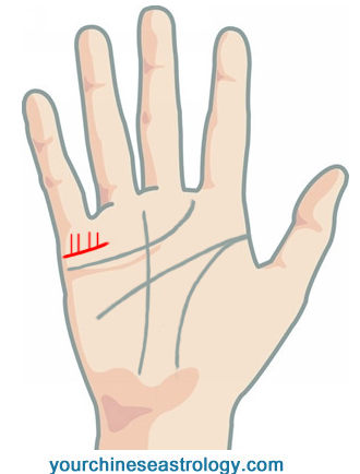 Palm Reading – Chinese Palmistry Guide 