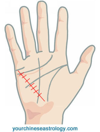 Health Line Palm Reading Guide – Chinese Palmistry