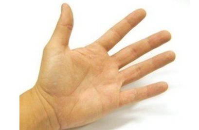 Download What Do Your Hands Color Say About Your Health and Destiny ...