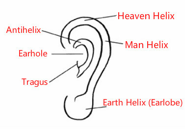 Face Reading Ears: Shape, Size, Color, Position Face Reading Ears: Shape, Size, Color, Position