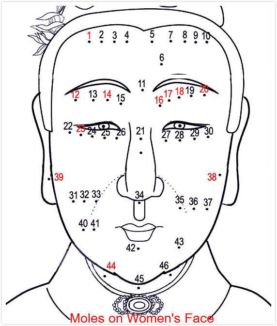 Face Reading, Free Chinese Physiognomy Techniques to Know Personality