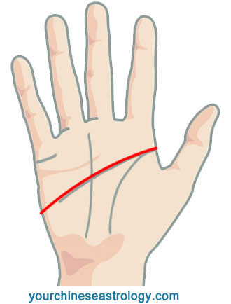 Simian Line, Head Line and Heart Line Overlap/Meat/Joint