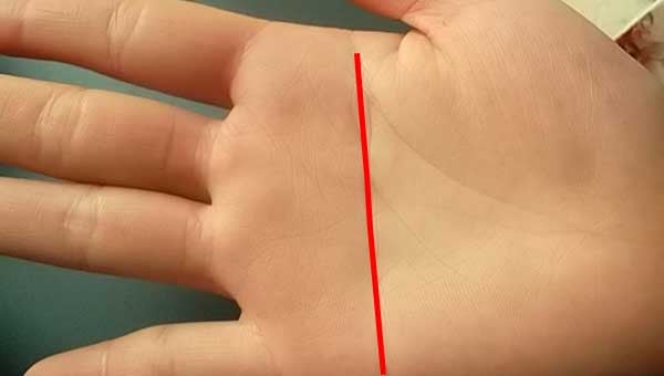 Simian Line in Palmistry