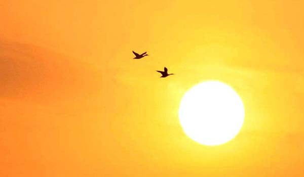 Sun Dream Meanings and Interpretation Sun Rising