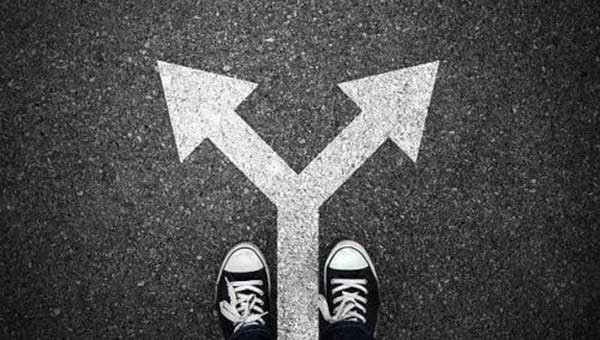 Head Line Reveals Suitable Career Path